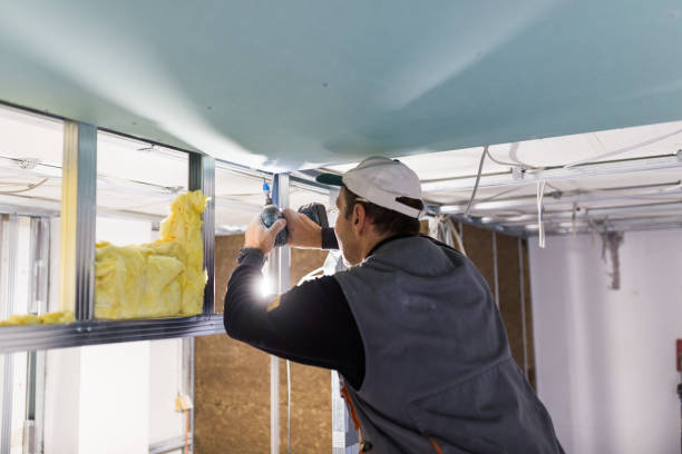 Best Insulation Replacement Services  in Trinity, FL